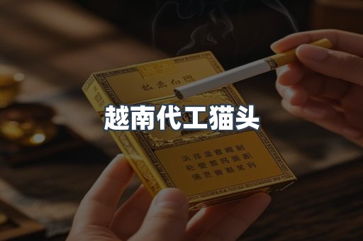 越南代工猫头